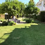 South Of The Sun Marbella